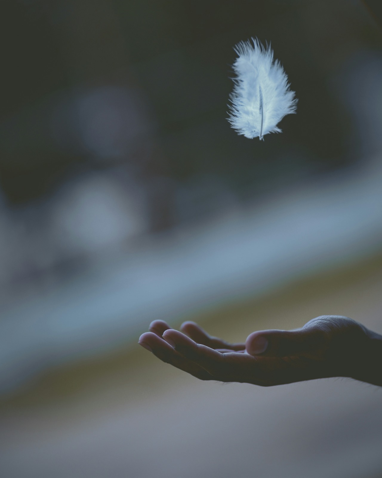 plume-représentant-avortement plume représentant une femme ayant fait un avortement accompagnée par une doula deuil